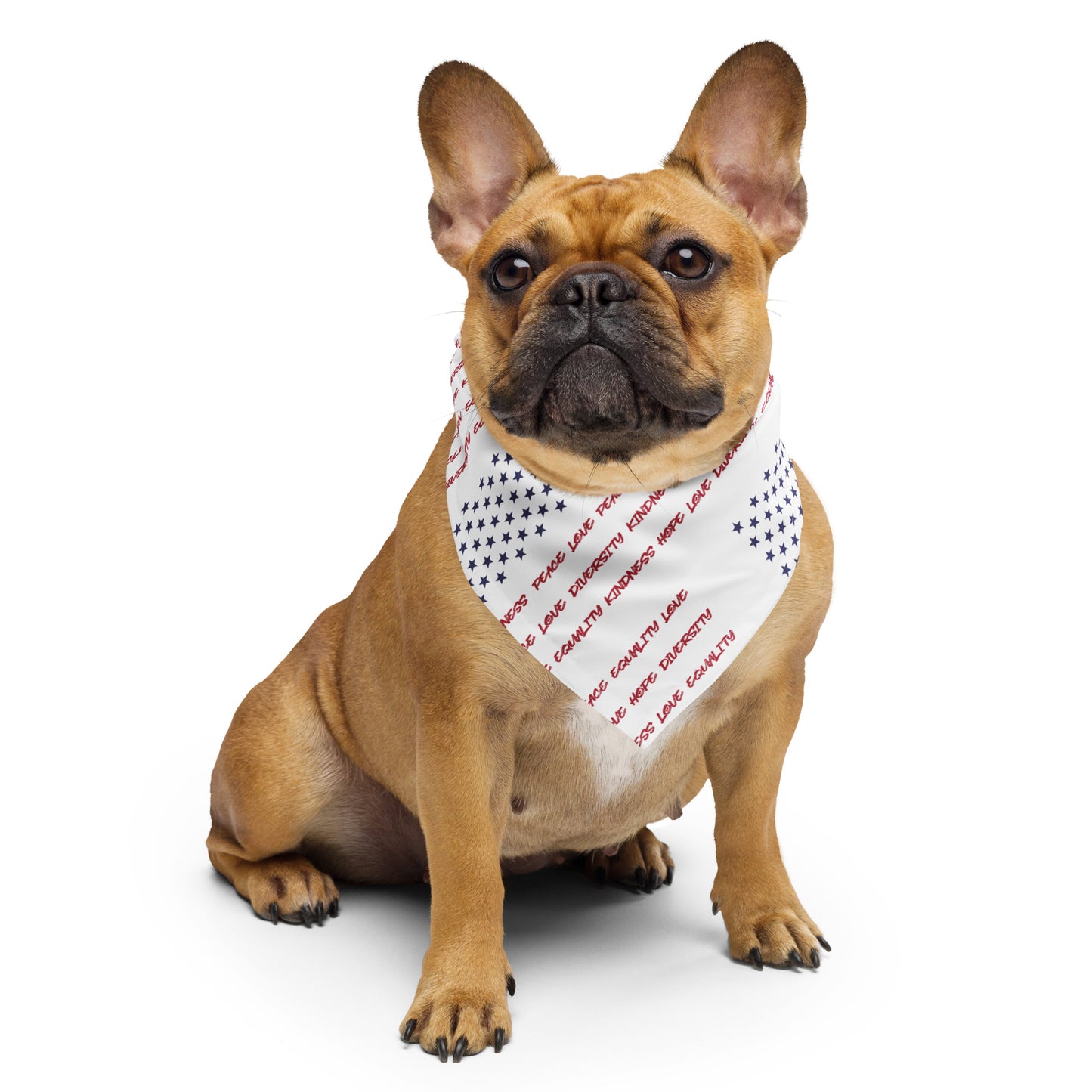 Flag Words of Kindness - Bandana - Supporting Equal Rights for All Americans Bandana Woke American Apparel S