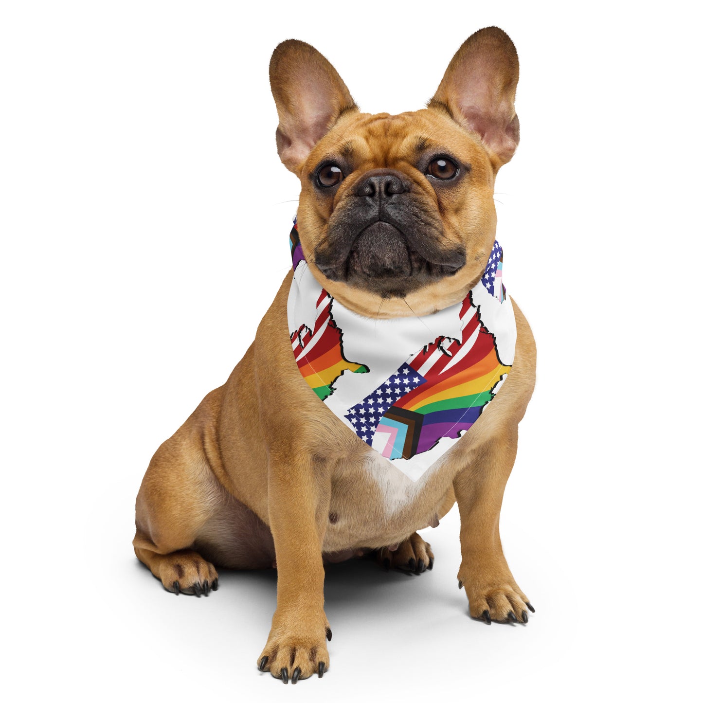 US Map Old Glory Pride - Bandana - Supporting Equal Rights for All Americans Bandana Woke American Apparel S