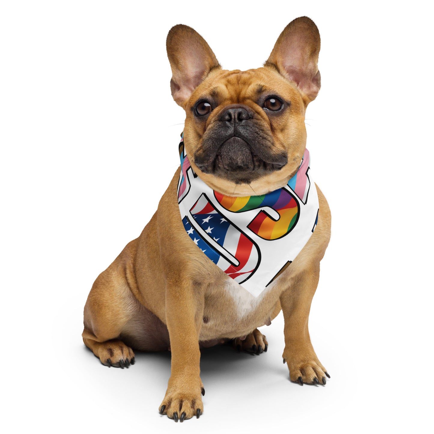 USA Pride - Bandana - Supporting Equal Rights for All Americans Bandana Woke American Apparel S