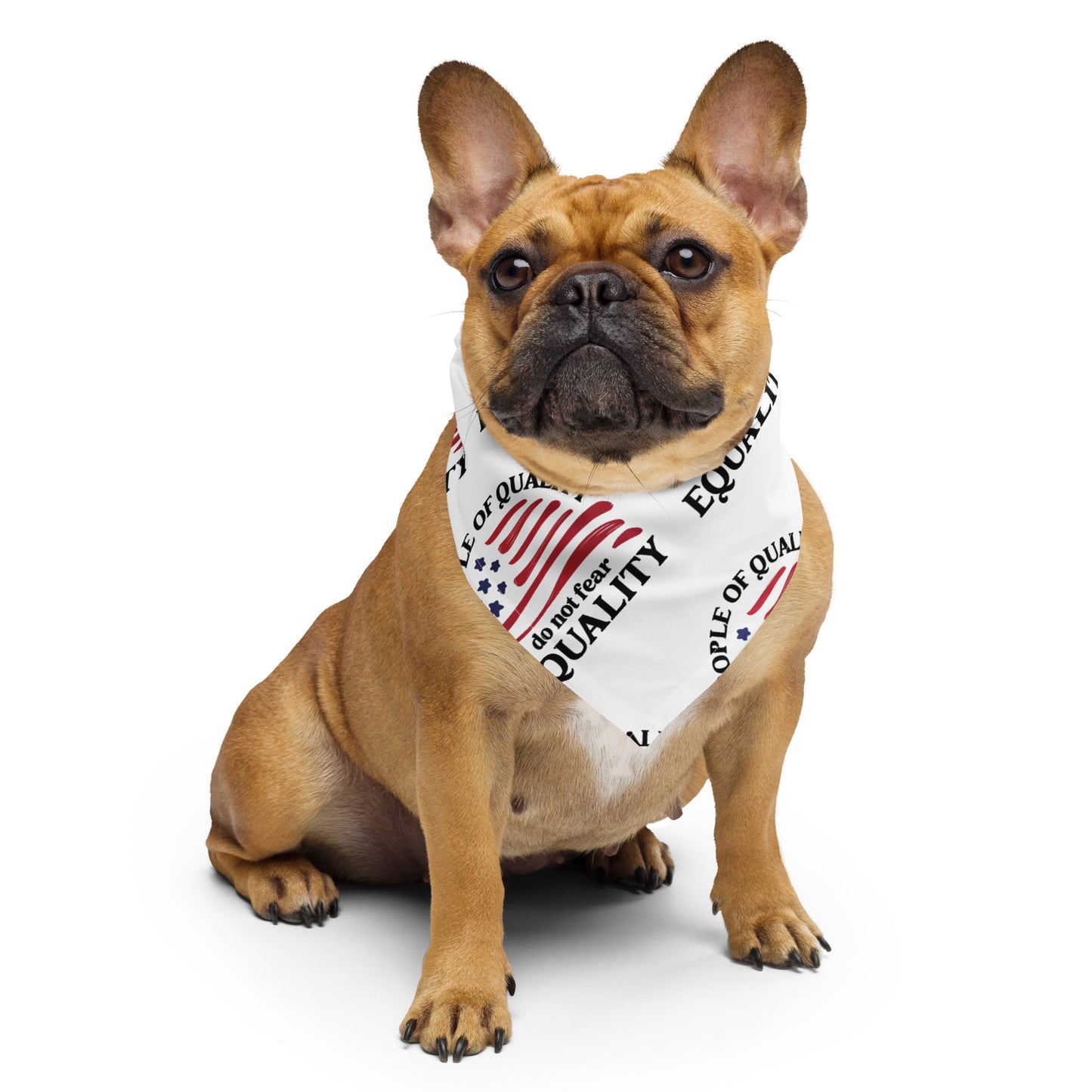 People of Quality Do Not Fear Equality - Bandana - Supporting Equal Rights for All Americans Bandana Woke American Apparel S