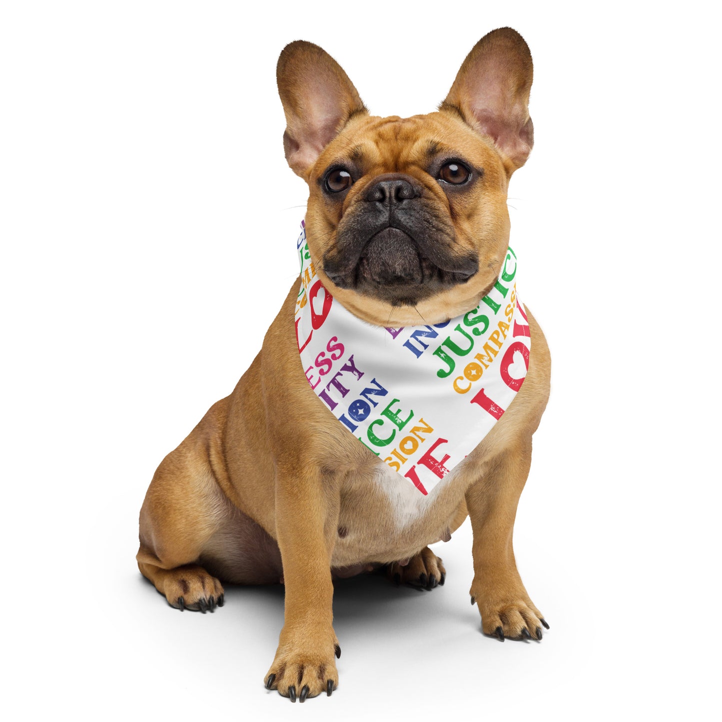 Kindness Equality Inclusion Justice Compassion Love (Rainbow) - Bandana - Supporting Equal Rights for All Americans Bandana Woke American Apparel S