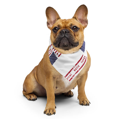 Foxtrot Delta Tango (Flag) - Bandana Bandana Woke American Apparel S